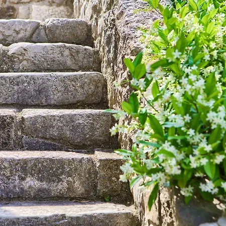 Heritage Dea Rustica