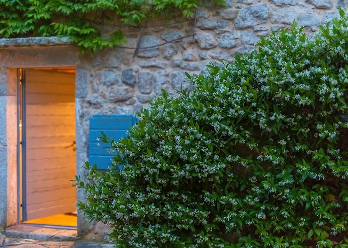 فيلة Heritage Dea Rustica مالينسكا